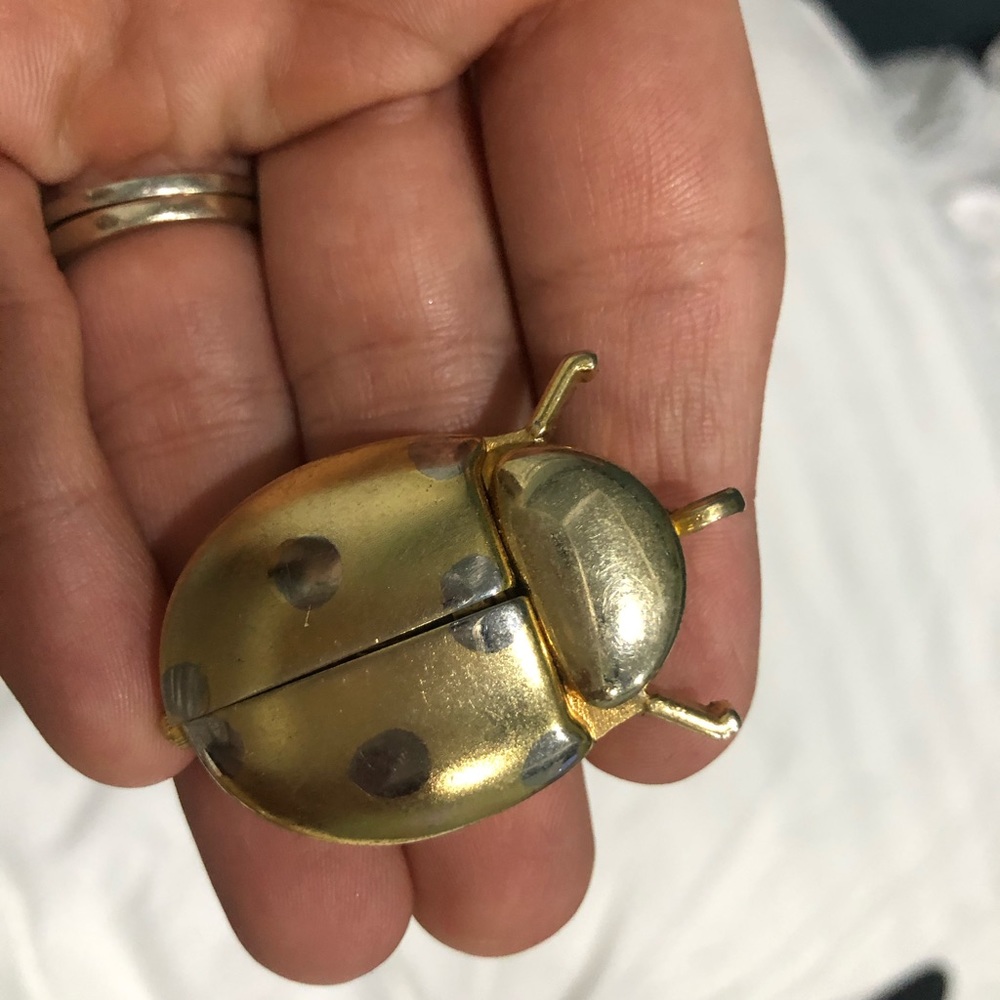 Vintage ladybug watch necklace pendant